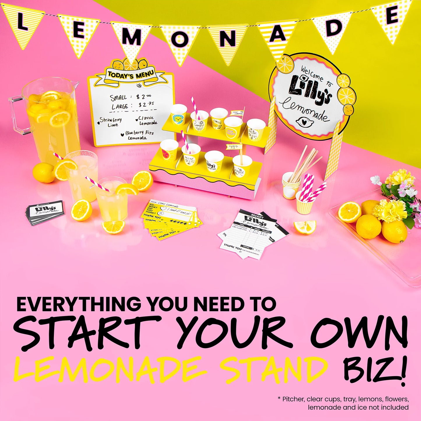 Kids Business Kit - Lemonade Stand